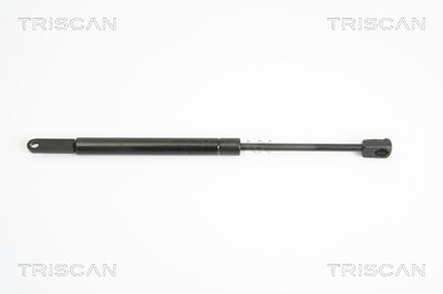 Triscan Gasfeder, Motorhaube [Hersteller-Nr. 871011108] für BMW von TRISCAN