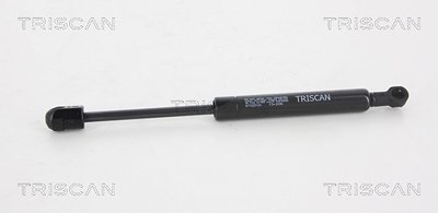 Triscan Gasfeder, Motorhaube [Hersteller-Nr. 871025104] für Renault von TRISCAN