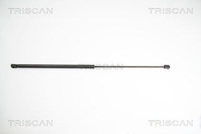 Triscan Gasfeder, Motorhaube [Hersteller-Nr. 871043101] für Hyundai von TRISCAN