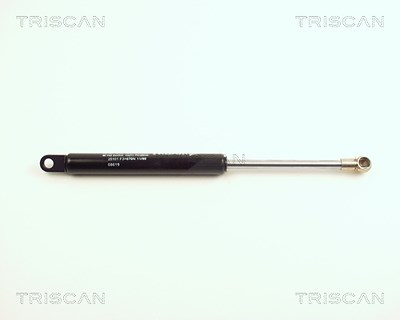 Triscan Gasfeder, Motorhaube [Hersteller-Nr. 871025101] für Renault von TRISCAN