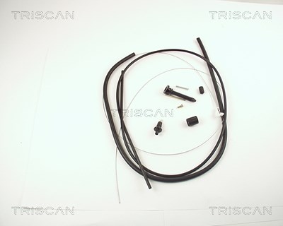 Triscan Gaszug [Hersteller-Nr. 814025324] für Renault von TRISCAN