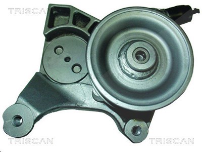 Triscan Hydraulikpumpe, Lenkung -AUSTAUSCHTEIL [Hersteller-Nr. 851515639] für Fiat von TRISCAN
