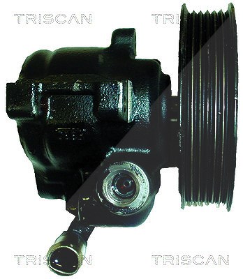 Triscan Hydraulikpumpe, Lenkung -AUSTAUSCHTEIL [Hersteller-Nr. 851510606] für Ford, Mazda von TRISCAN