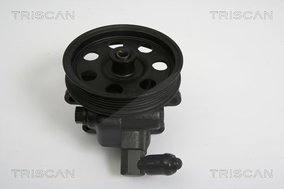 Triscan Hydraulikpumpe, Lenkung -AUSTAUSCHTEIL [Hersteller-Nr. 851516617] für Ford von TRISCAN