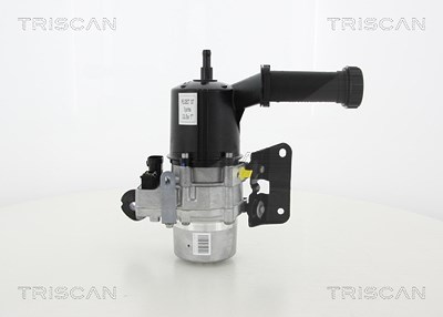 Triscan Hydraulikpumpe, Lenkung -AUSTAUSCHTEIL [Hersteller-Nr. 851510624] für Citroën, Fiat, Peugeot von TRISCAN