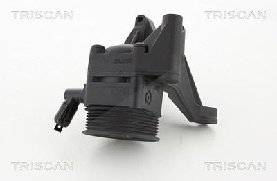 Triscan Hydraulikpumpe, Lenkung -AUSTAUSCHTEIL [Hersteller-Nr. 851515638] für Fiat von TRISCAN