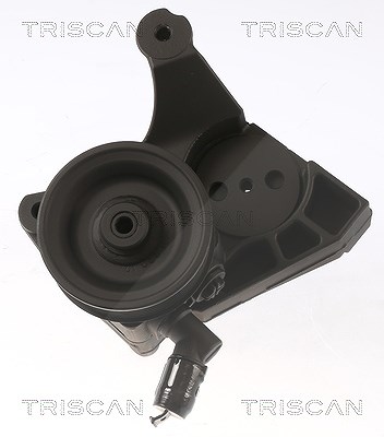 Triscan Hydraulikpumpe, Lenkung -AUSTAUSCHTEIL [Hersteller-Nr. 851515639] für Fiat von TRISCAN
