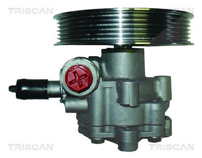 Triscan Hydraulikpumpe, Lenkung -AUSTAUSCHTEIL [Hersteller-Nr. 851529642] für Audi von TRISCAN