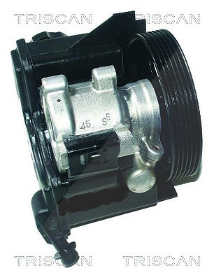 Triscan Hydraulikpumpe, Lenkung -AUSTAUSCHTEIL [Hersteller-Nr. 851538608] für Citroën, Peugeot von TRISCAN
