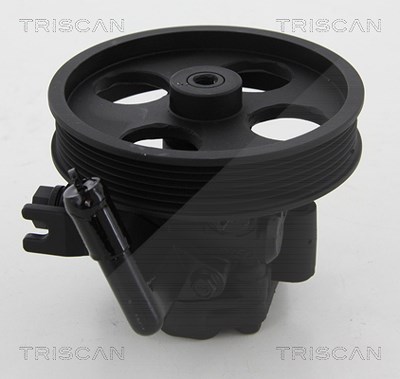Triscan Hydraulikpumpe, Lenkung -AUSTAUSCHTEIL [Hersteller-Nr. 851518612] für Hyundai, Kia von TRISCAN