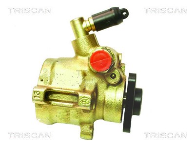 Triscan Hydraulikpumpe, Lenkung -AUSTAUSCHTEIL [Hersteller-Nr. 851516610] für Ford von TRISCAN