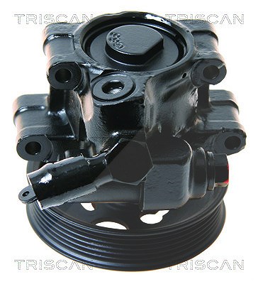 Triscan Hydraulikpumpe, Lenkung -AUSTAUSCHTEIL [Hersteller-Nr. 851516627] für Ford von TRISCAN