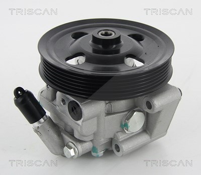 Triscan Hydraulikpumpe, Lenkung -AUSTAUSCHTEIL [Hersteller-Nr. 851516658] für Ford, Land Rover von TRISCAN