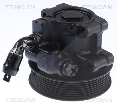 Triscan Hydraulikpumpe, Lenkung [Hersteller-Nr. 851516673] für Ford von TRISCAN