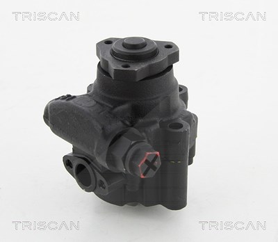 Triscan Hydraulikpumpe, Lenkung -AUSTAUSCHTEIL [Hersteller-Nr. 851517613] für Land Rover von TRISCAN