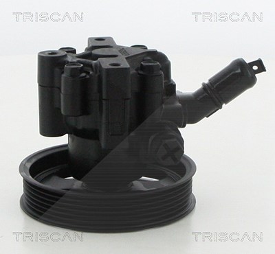 Triscan Hydraulikpumpe, Lenkung -AUSTAUSCHTEIL [Hersteller-Nr. 851524631] für Chevrolet, Opel, Saab, Vauxhall von TRISCAN
