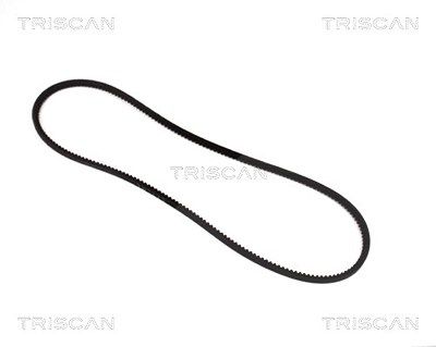 Triscan Keilriemen [Hersteller-Nr. 8640100850] für Abarth, Alfa Romeo, Audi, BMW, Chevrolet, Daimler, Fiat, Ford, Glas, Iveco, Jaguar, Lancia, Mercede von TRISCAN