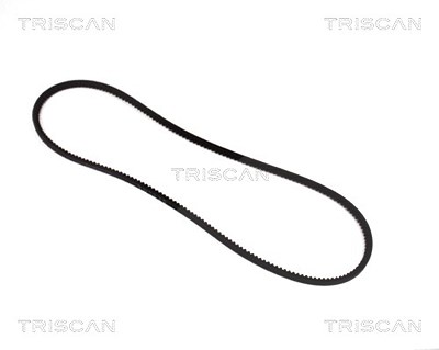 Triscan Keilriemen [Hersteller-Nr. 8640101250] für Alpine, Chevrolet, Dodge, Ford, Renault, Saab, Wartburg von TRISCAN