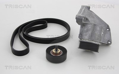 Triscan Keilrippenriemensatz [Hersteller-Nr. 864216002] für Ford von TRISCAN