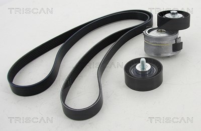 Triscan Keilrippenriemensatz [Hersteller-Nr. 864210014] für Citroën, Fiat, Lancia, Peugeot von TRISCAN