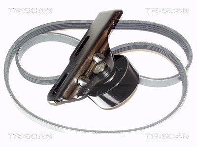 Triscan Keilrippenriemensatz [Hersteller-Nr. 864225003] für Dacia, Nissan, Renault von TRISCAN