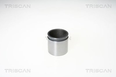 Triscan Kolben, Bremssattel [Hersteller-Nr. 8170235476] für Abarth, Alfa Romeo, Citroën, Dacia, Ds, Fiat, Lancia, Opel, Peugeot, Renault, Skoda, Vauxh von TRISCAN