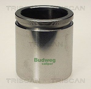 Triscan Kolben, Bremssattel [Hersteller-Nr. 8170234810] für Alfa Romeo, Audi, Citroën, Dacia, Fiat, Jaguar, Lada, Land Rover, Peugeot, Renault, Toyota von TRISCAN
