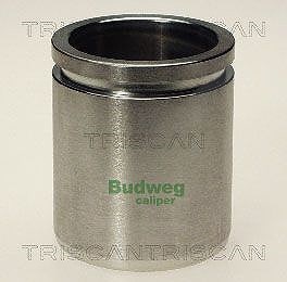 Triscan Kolben, Bremssattel [Hersteller-Nr. 8170234516] für Audi, Citroën, Fiat, Lancia, Land Rover, Nissan, Opel, Peugeot, Renault, Toyota, Vauxhall von TRISCAN