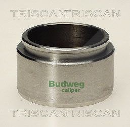 Triscan Kolben, Bremssattel [Hersteller-Nr. 8170234801] für BMW, Daimler, Ford, Jaguar, Opel, Peugeot, Renault, Volvo von TRISCAN