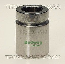 Triscan Kolben, Bremssattel [Hersteller-Nr. 8170233413] für BMW von TRISCAN
