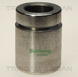 Triscan Kolben, Bremssattel [Hersteller-Nr. 8170233824] für BMW von TRISCAN