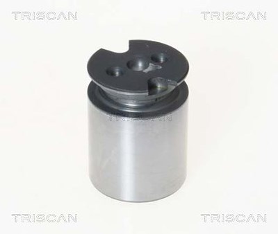 Triscan Kolben, Bremssattel [Hersteller-Nr. 8170233860] für Citroën, Toyota von TRISCAN