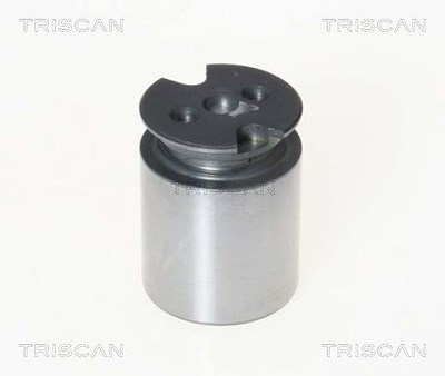 Triscan Kolben, Bremssattel [Hersteller-Nr. 8170233860] für Citroën, Toyota von TRISCAN