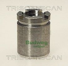 Triscan Kolben, Bremssattel [Hersteller-Nr. 8170233006] für Citroën, Peugeot, Renault von TRISCAN