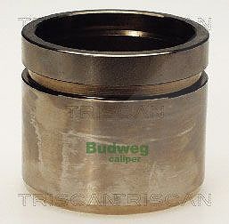 Triscan Kolben, Bremssattel [Hersteller-Nr. 8170235111] für Daihatsu, Kia, Mazda von TRISCAN
