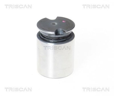 Triscan Kolben, Bremssattel [Hersteller-Nr. 8170233634] für Abarth, Fiat, Opel, Peugeot, Toyota von TRISCAN