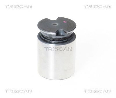 Triscan Kolben, Bremssattel [Hersteller-Nr. 8170233634] für Abarth, Citroën, Fiat, Opel, Peugeot, Toyota, Vauxhall von TRISCAN