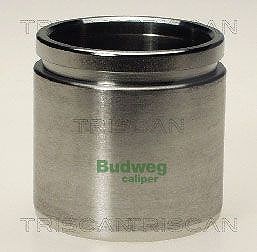 Triscan Kolben, Bremssattel [Hersteller-Nr. 8170234850] für Fiat, Ford, Lancia, Opel, Suzuki, Vauxhall von TRISCAN