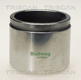 Triscan Kolben, Bremssattel [Hersteller-Nr. 8170235719] für Mazda von TRISCAN