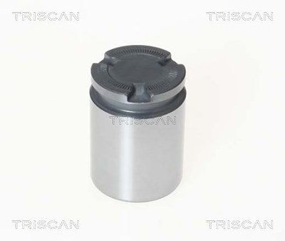 Triscan Kolben, Bremssattel [Hersteller-Nr. 8170233856] für Abarth, Alfa Romeo, Fiat, Ford, Jeep, Lancia, Mazda, Mercedes-Benz, Mg, Nissan, Opel, Rena von TRISCAN