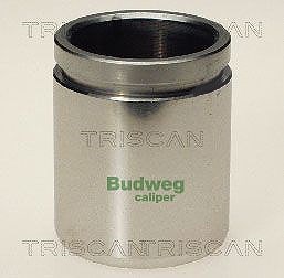 Triscan Kolben, Bremssattel [Hersteller-Nr. 8170234208] für Ford von TRISCAN