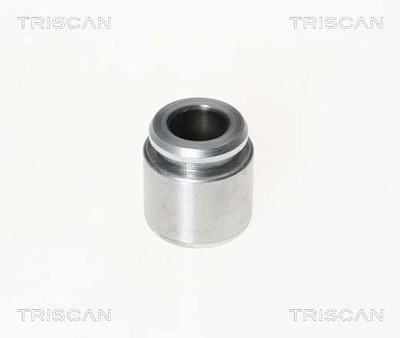 Triscan Kolben, Bremssattel [Hersteller-Nr. 8170233023] für Alfa Romeo, Audi, Porsche, VW von TRISCAN