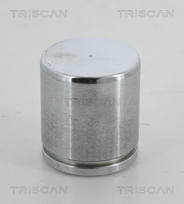 Triscan Kolben, Bremssattel [Hersteller-Nr. 8170234613] für Land Rover, Mercedes-Benz, Porsche, VW von TRISCAN