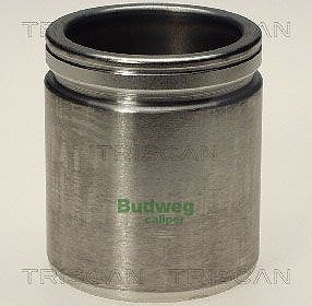 Triscan Kolben, Bremssattel [Hersteller-Nr. 8170234815] für Opel, Seat, Vauxhall, VW von TRISCAN