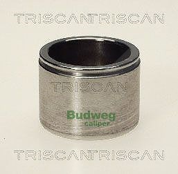 Triscan Kolben, Bremssattel [Hersteller-Nr. 8170233804] für Volvo von TRISCAN