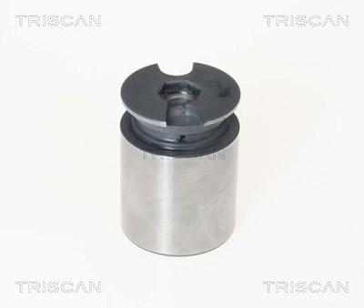 Triscan Kolben, Bremssattel [Hersteller-Nr. 8170233863] für Ford, Jaguar, Renault von TRISCAN