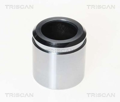 Triscan Kolben, Bremssattel [Hersteller-Nr. 8170234614] für Kia von TRISCAN