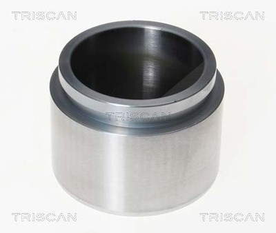 Triscan Kolben, Bremssattel [Hersteller-Nr. 8170232122] für Lexus, Toyota von TRISCAN