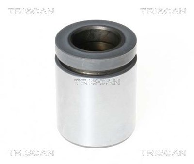 Triscan Kolben, Bremssattel [Hersteller-Nr. 8170234419] für Mercedes-Benz von TRISCAN