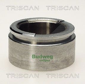 Triscan Kolben, Bremssattel [Hersteller-Nr. 8170235709] für Mercedes-Benz von TRISCAN